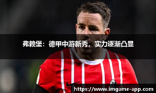 IM电竞官方正版网站