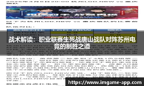 IM电竞