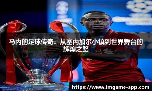 IM电竞官网