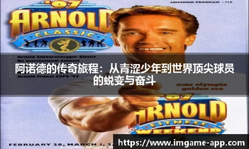 IM电竞官方正版网站