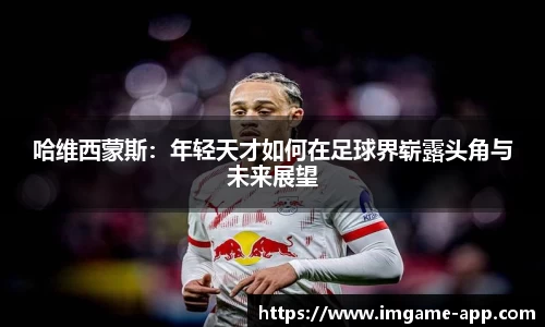 IM电竞官方正版网站